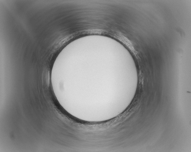 X0000115550013200912041041