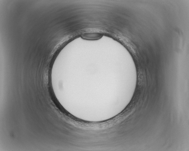 X0000115550015200912041041