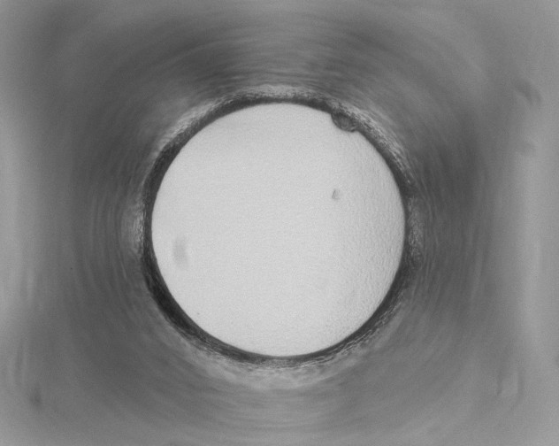 X0000115550016200912041041