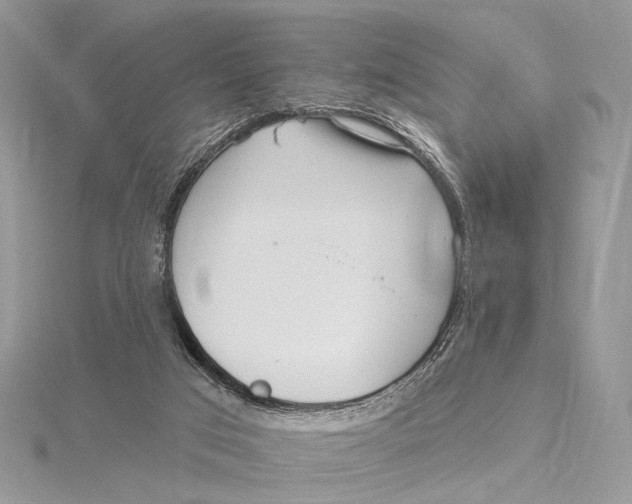 X0000115550017200912041041