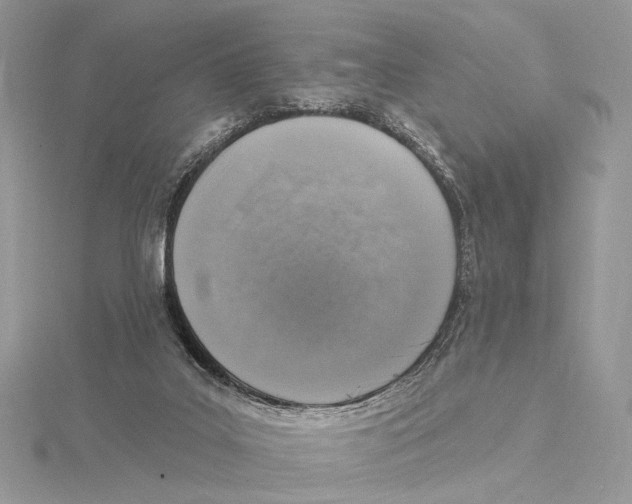 X0000115550019200912041041