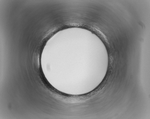 X0000115550020200912041041