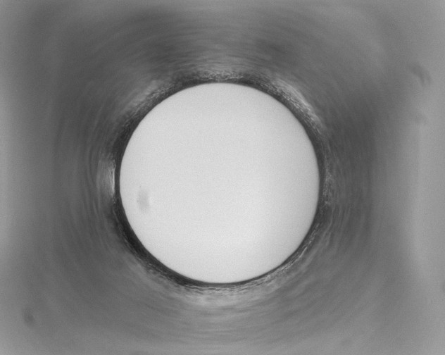 X0000115550021200912041041