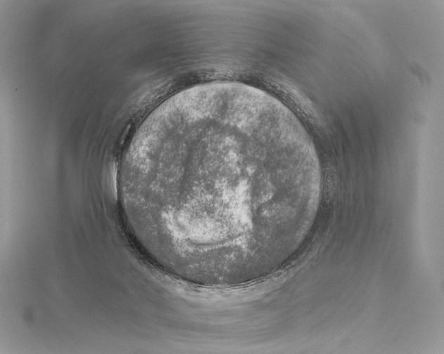 X0000115550022200912041041