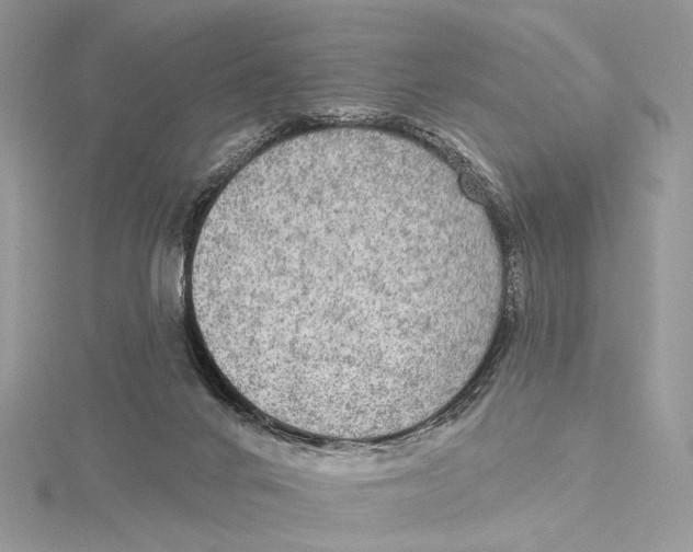 X0000115550024200912041041