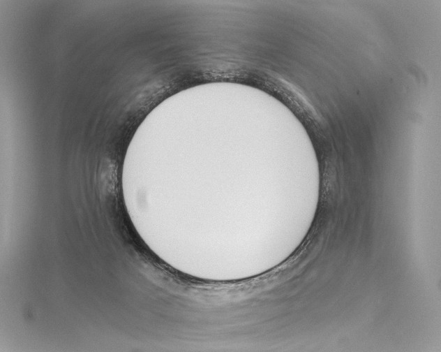 X0000115550025200912041041