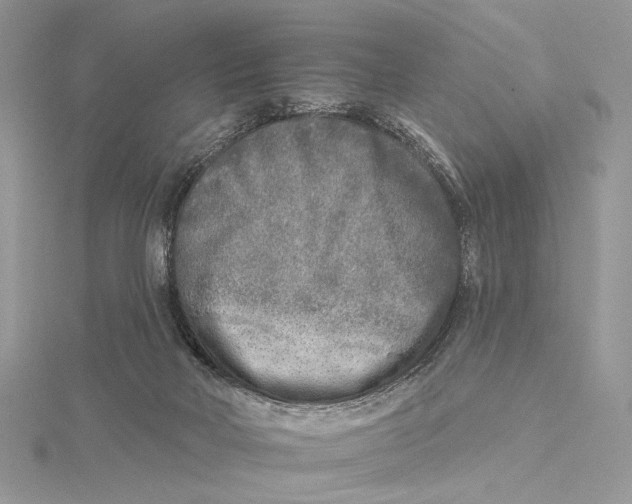 X0000115550026200912041041