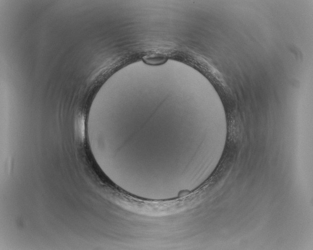 X0000115550027200912041041