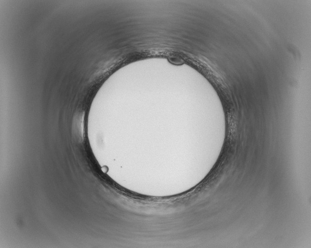 X0000115550028200912041041