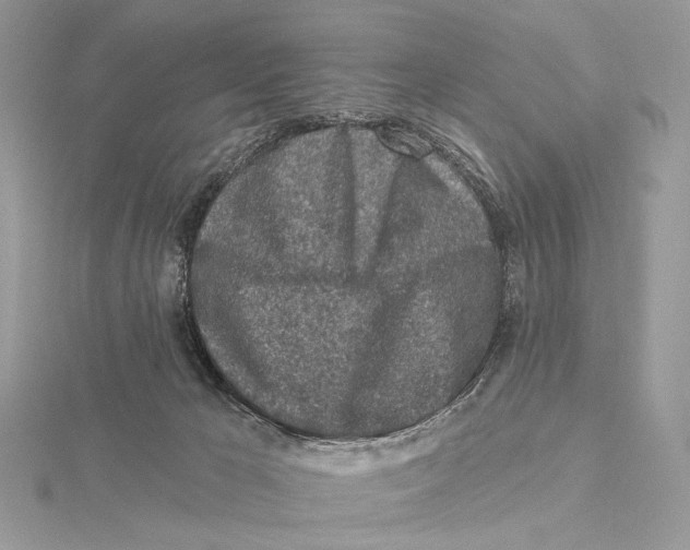 X0000115550029200912041041