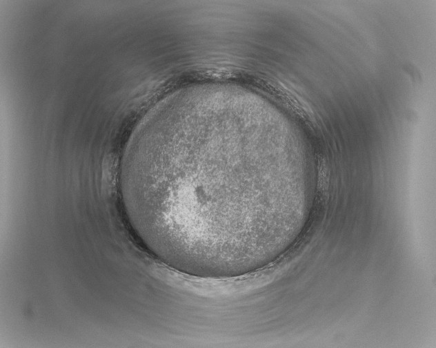 X0000115550030200912041041