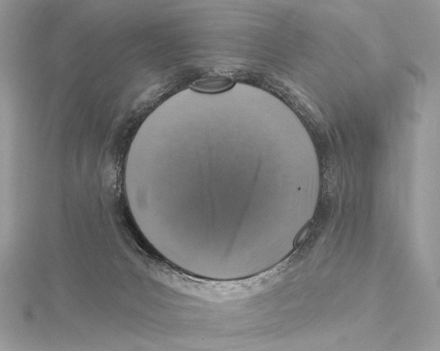 X0000115550031200912041041