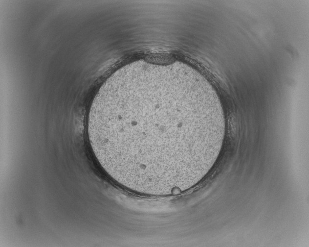 X0000115550032200912041041