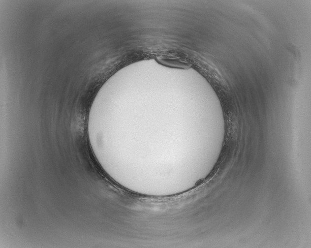 X0000115550033200912041041