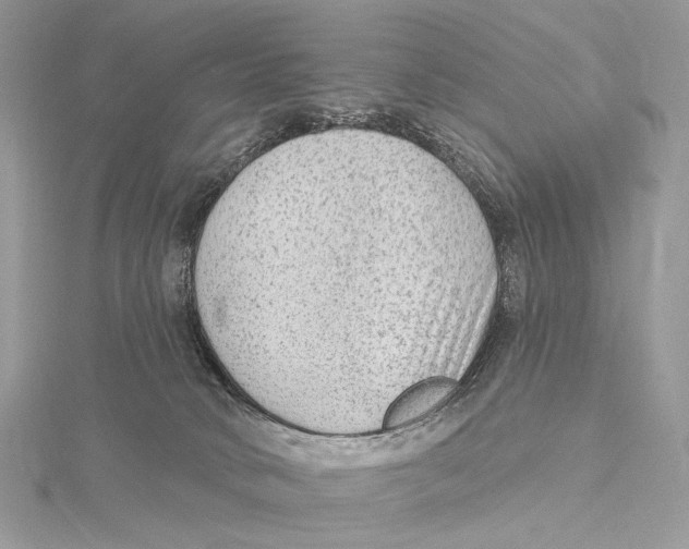 X0000115550034200912041041