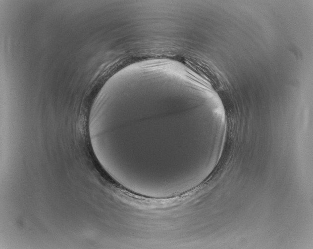 X0000115550035200912041041