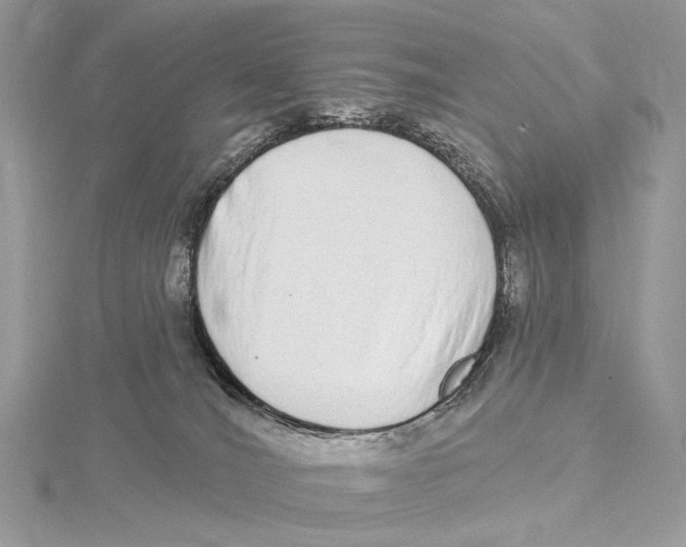 X0000115550036200912041041