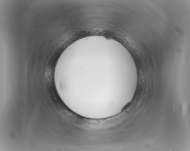 X0000115550037200912041041