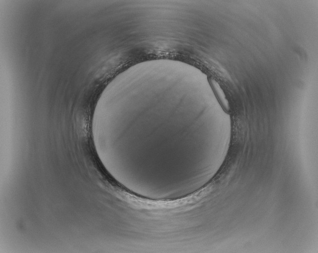 X0000115550039200912041041