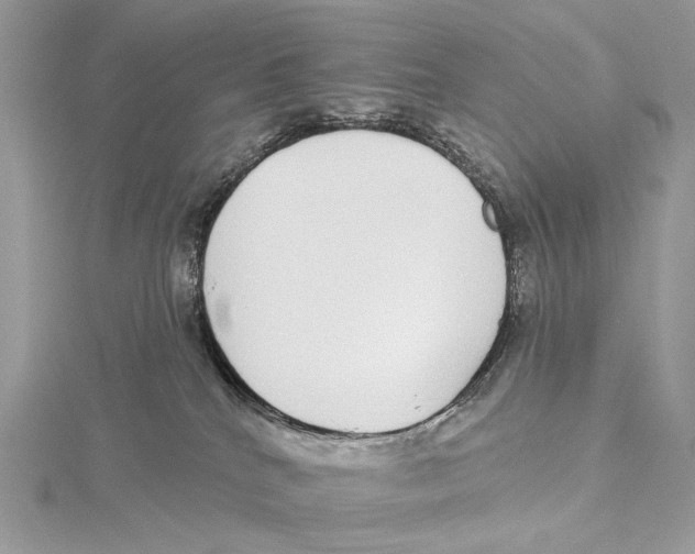 X0000115550040200912041041