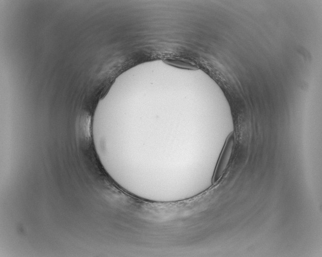 X0000115550041200912041041