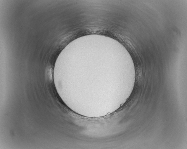 X0000115550042200912041041