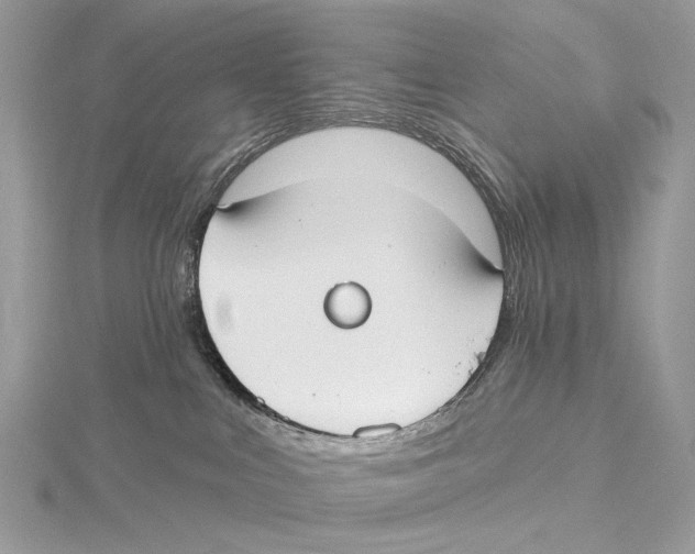 X0000115550043200912041041