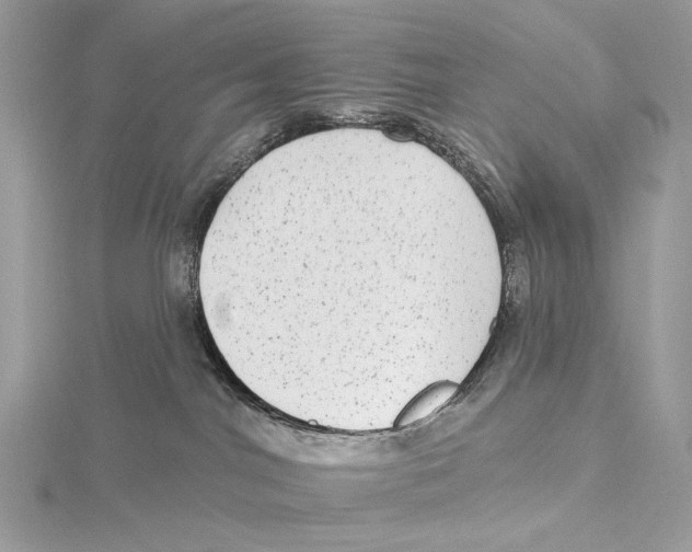 X0000115550044200912041041