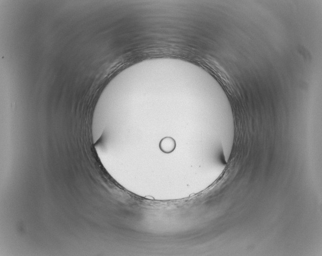 X0000115550045200912041041