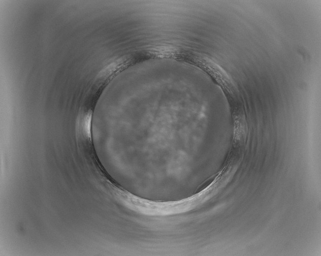 X0000115550047200912041041