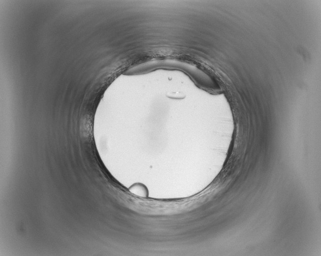 X0000115550048200912041041