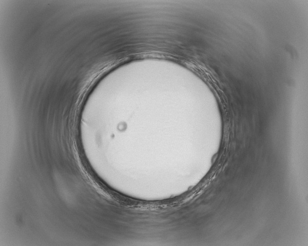 X0000115550049200912041040