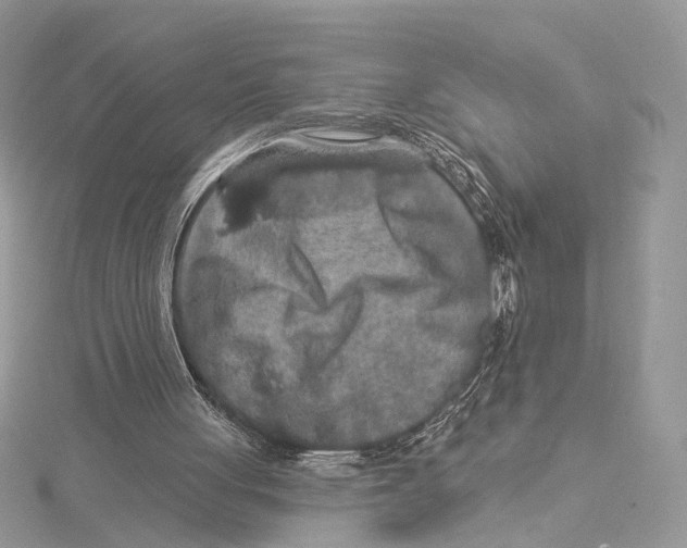 X0000115550051200912041040