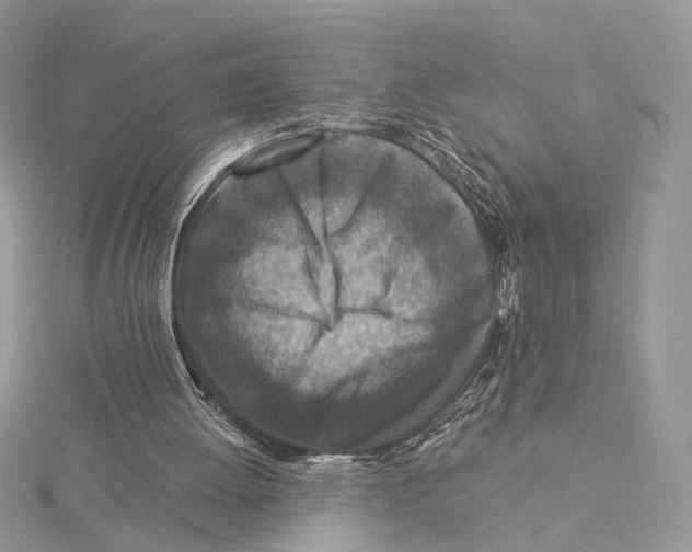 X0000115550052200912041040