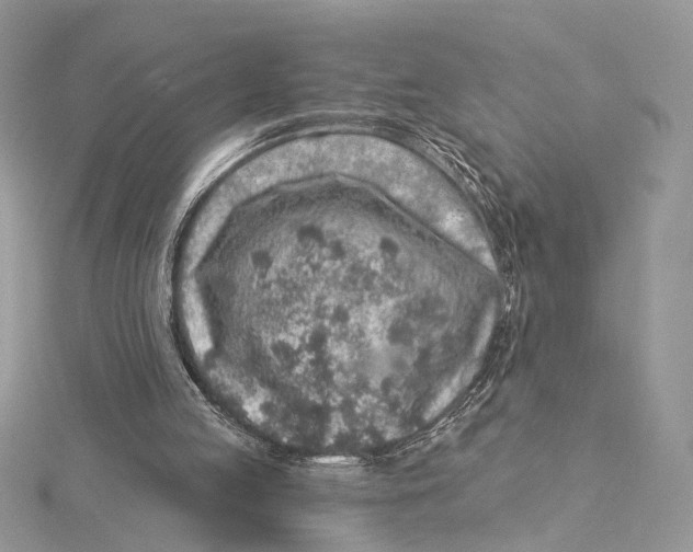 X0000115550053200912041040