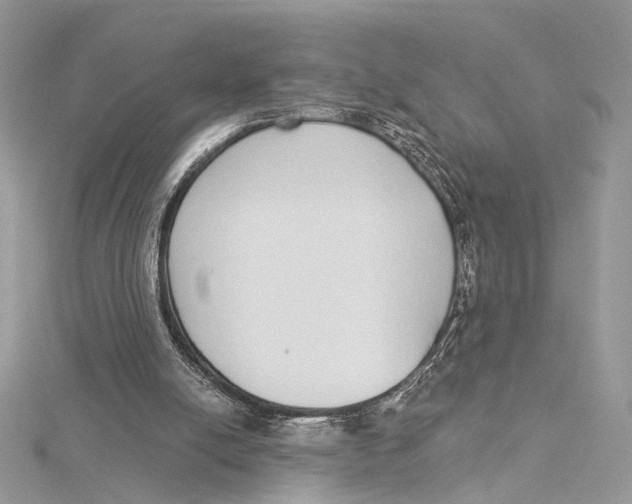 X0000115550054200912041040