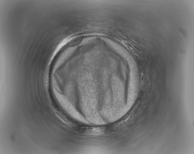 X0000115550056200912041040