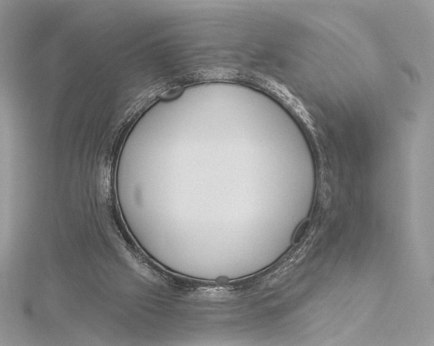 X0000115550057200912041040