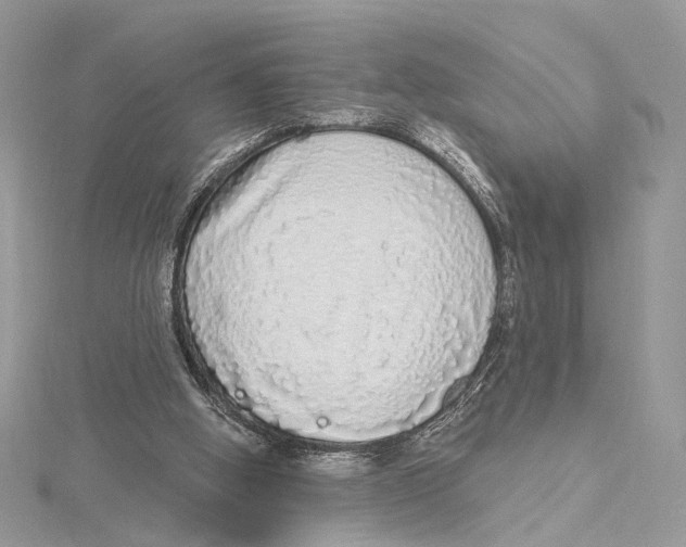 X0000115550058200912041040