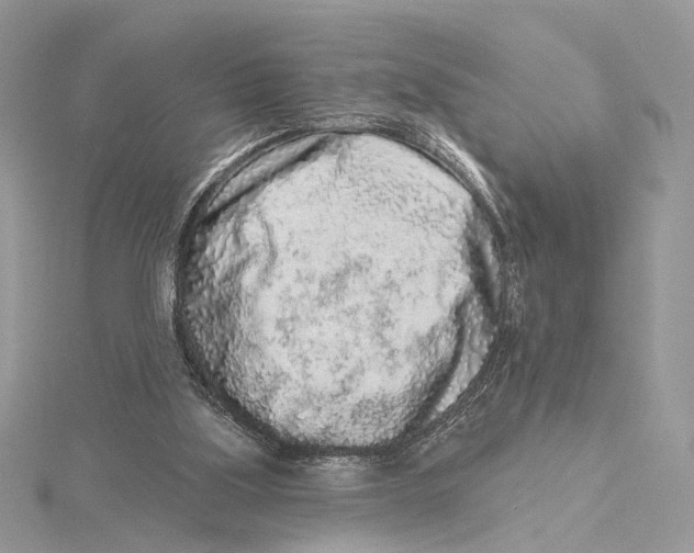 X0000115550059200912041040