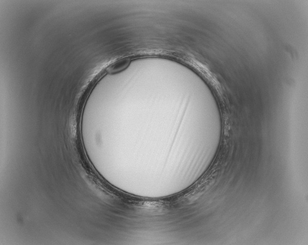 X0000115550060200912041040