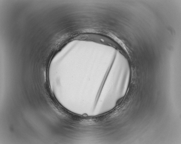 X0000115550061200912041040