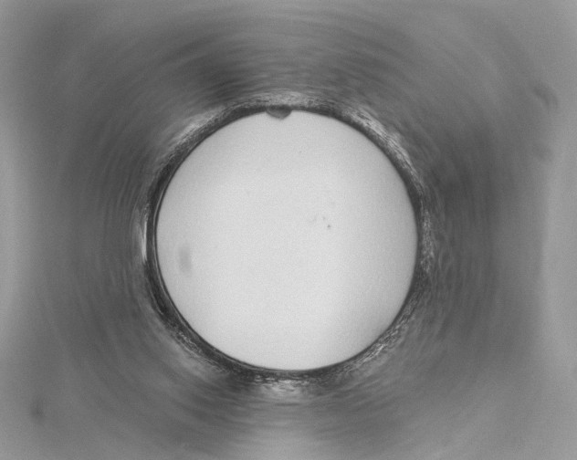 X0000115550062200912041040