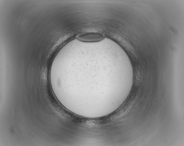 X0000115550064200912041040