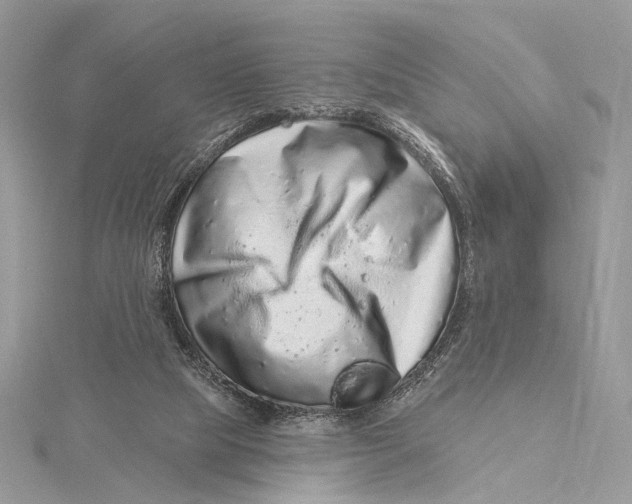 X0000115550065200912041040