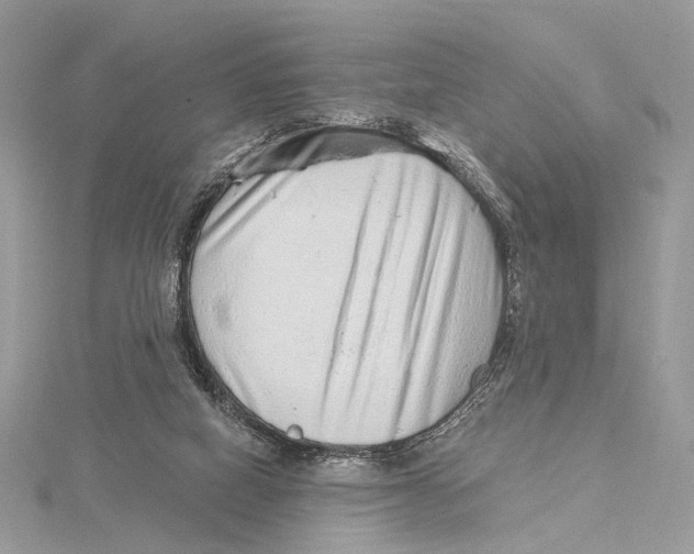 X0000115550066200912041040