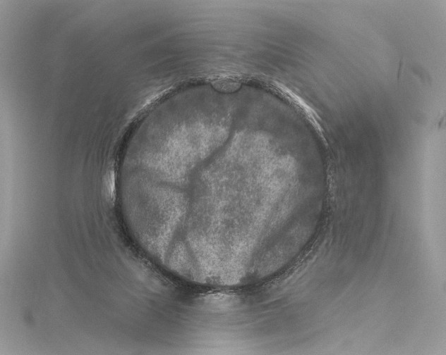 X0000115550067200912041040