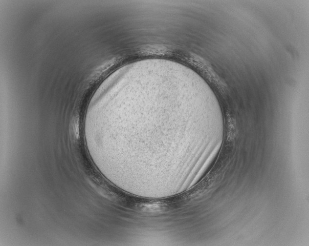 X0000115550068200912041040