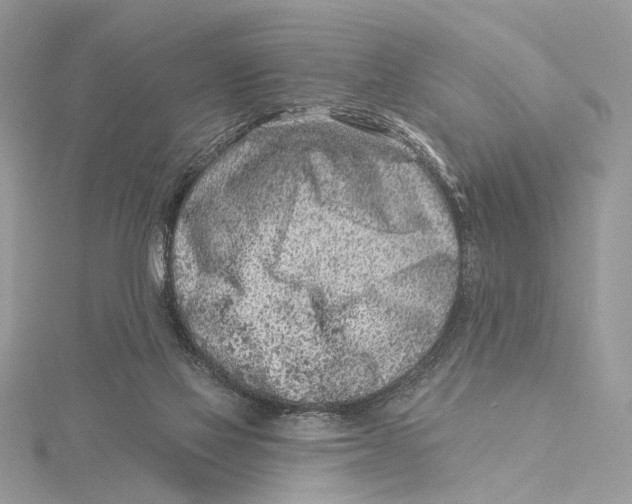 X0000115550069200912041040