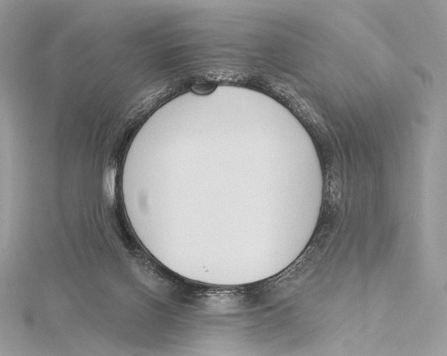 X0000115550070200912041040